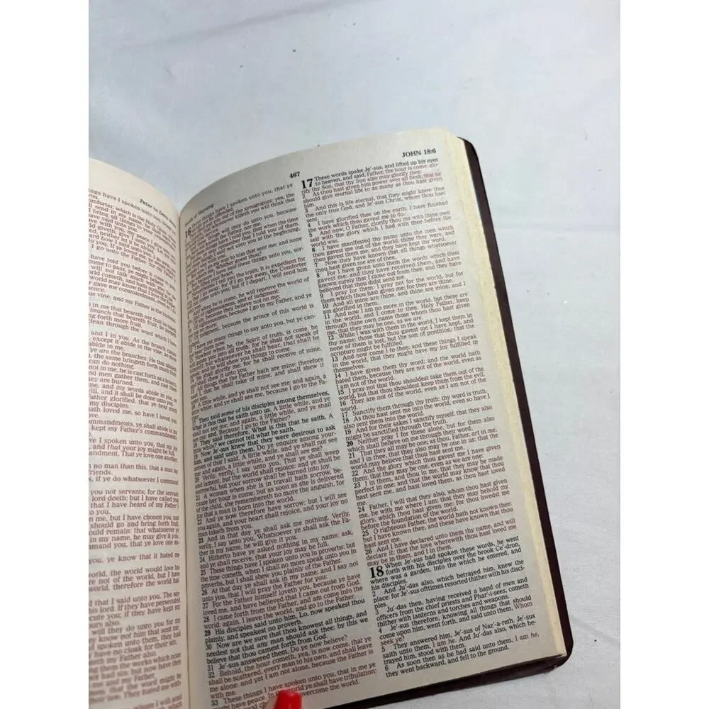 Vintage Holy Bible King James Version
